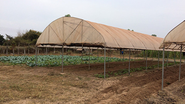 ラオスでの有機農業研修農場