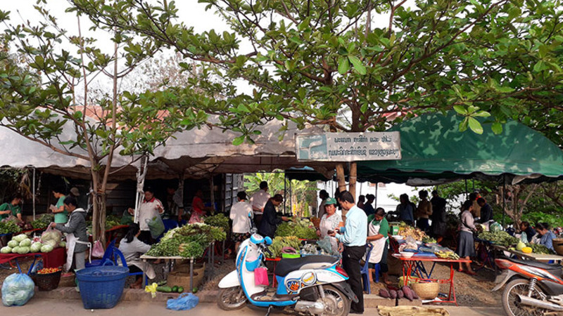 ラオスの農産物市場