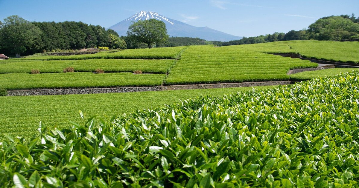 日本の伝統と未来を繋ぐ～日本の風土に根ざした農業の可能性～
