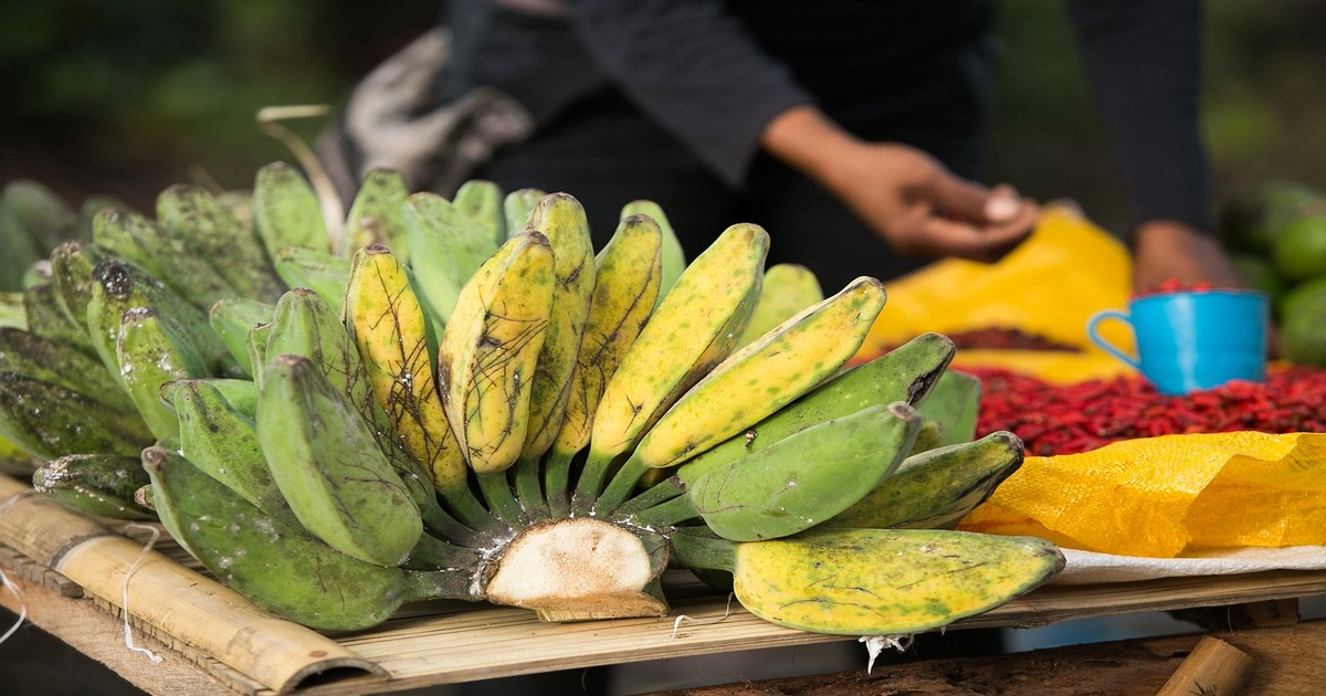 バナナの収穫時期と方法